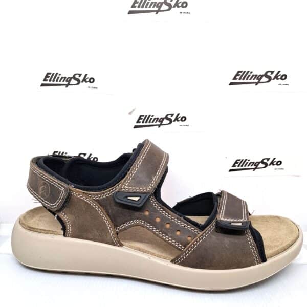 ARA HERRESANDAL 21506 Herresan - Image 2