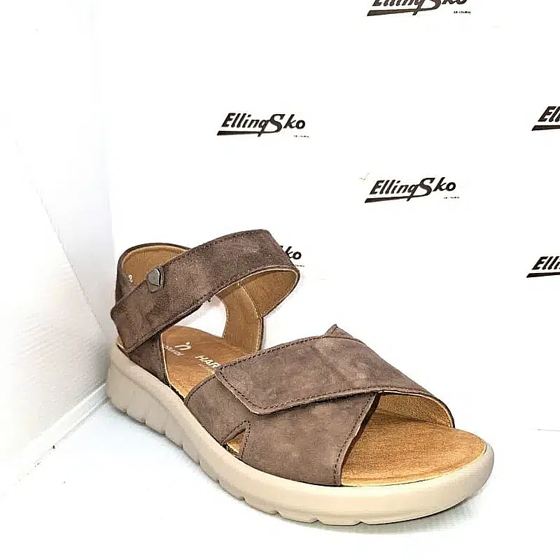 HARTJES CALYPSO Damesandal